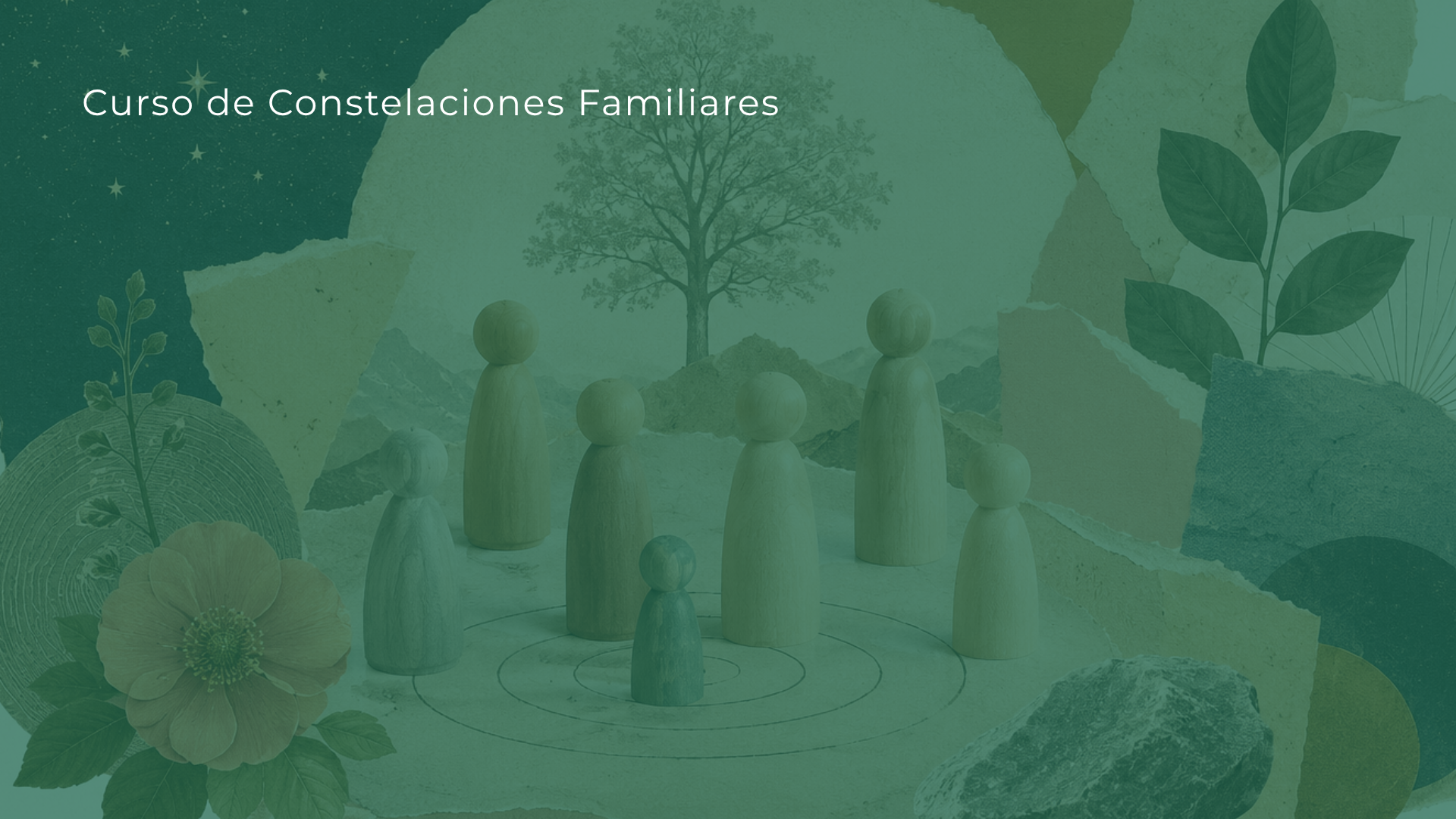 Imagen de Constelaciones Familiares